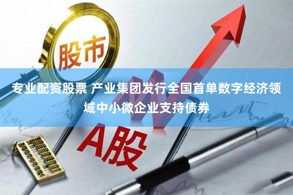 专业配资股票 产业集团发行全国首单数字经济领域中小微企业支持债券