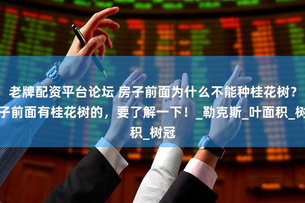 老牌配资平台论坛 房子前面为什么不能种桂花树？房子前面有桂花树的，要了解一下！_勒克斯_叶面积_树冠