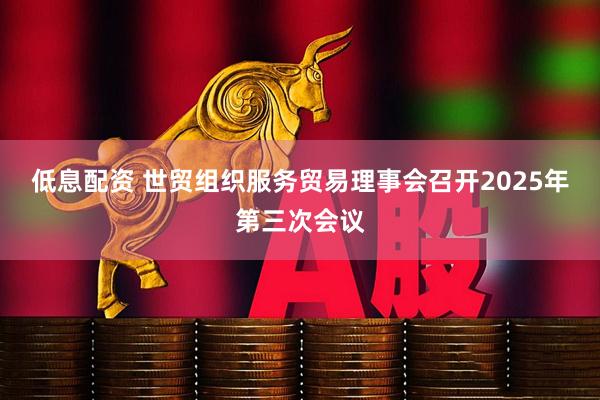 低息配资 世贸组织服务贸易理事会召开2025年第三次会议