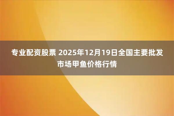 专业配资股票 2025年12月19日全国主要批发市场甲鱼价格行情