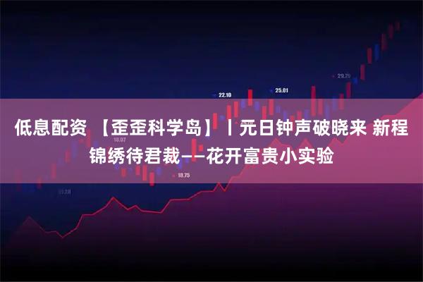 低息配资 【歪歪科学岛】丨元日钟声破晓来 新程锦绣待君裁——花开富贵小实验